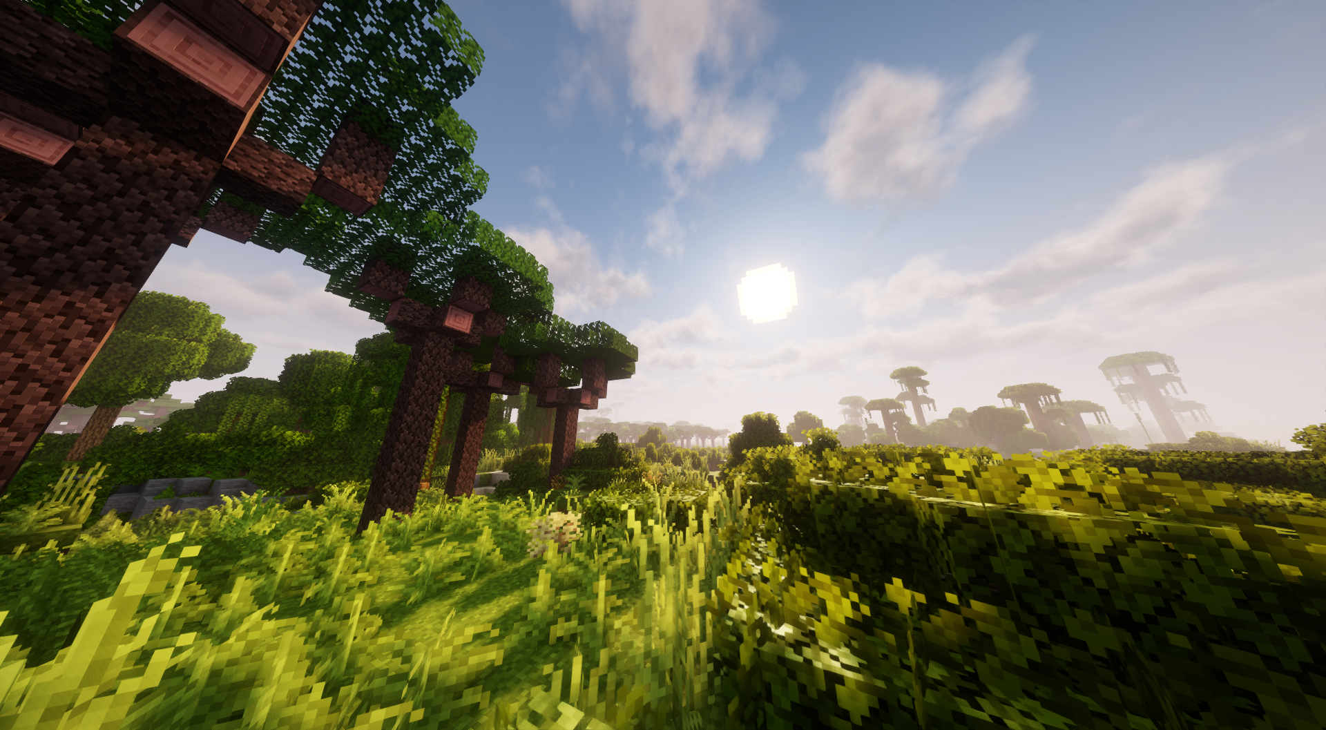 Paisagem